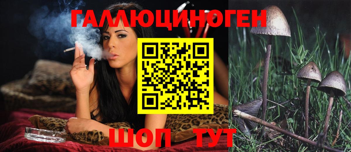Лосино-Петровский  Псилоцибиновые грибы Cubensis  Вход с VPN  Галлюциногенные грибы мицелий 